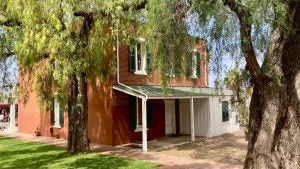 house with ferns and tree on the back